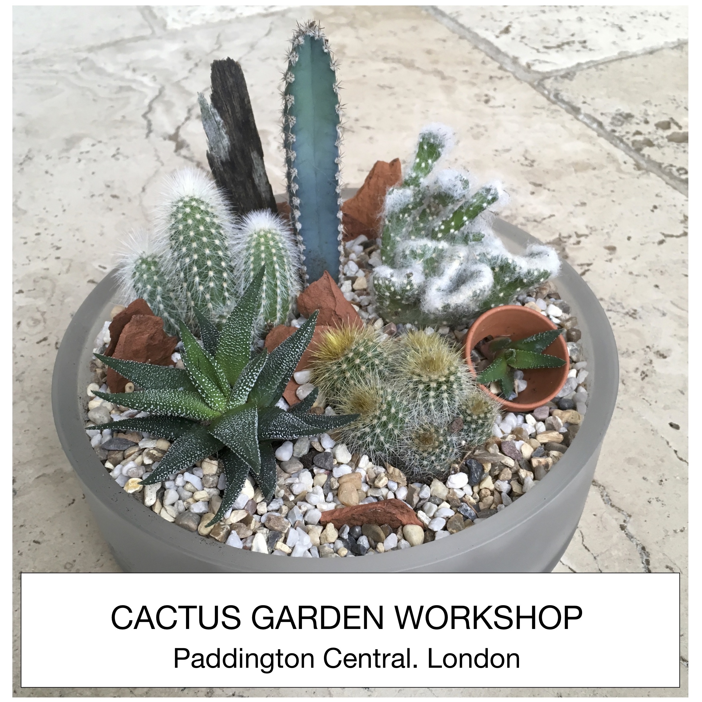 PAST WORKSHOP