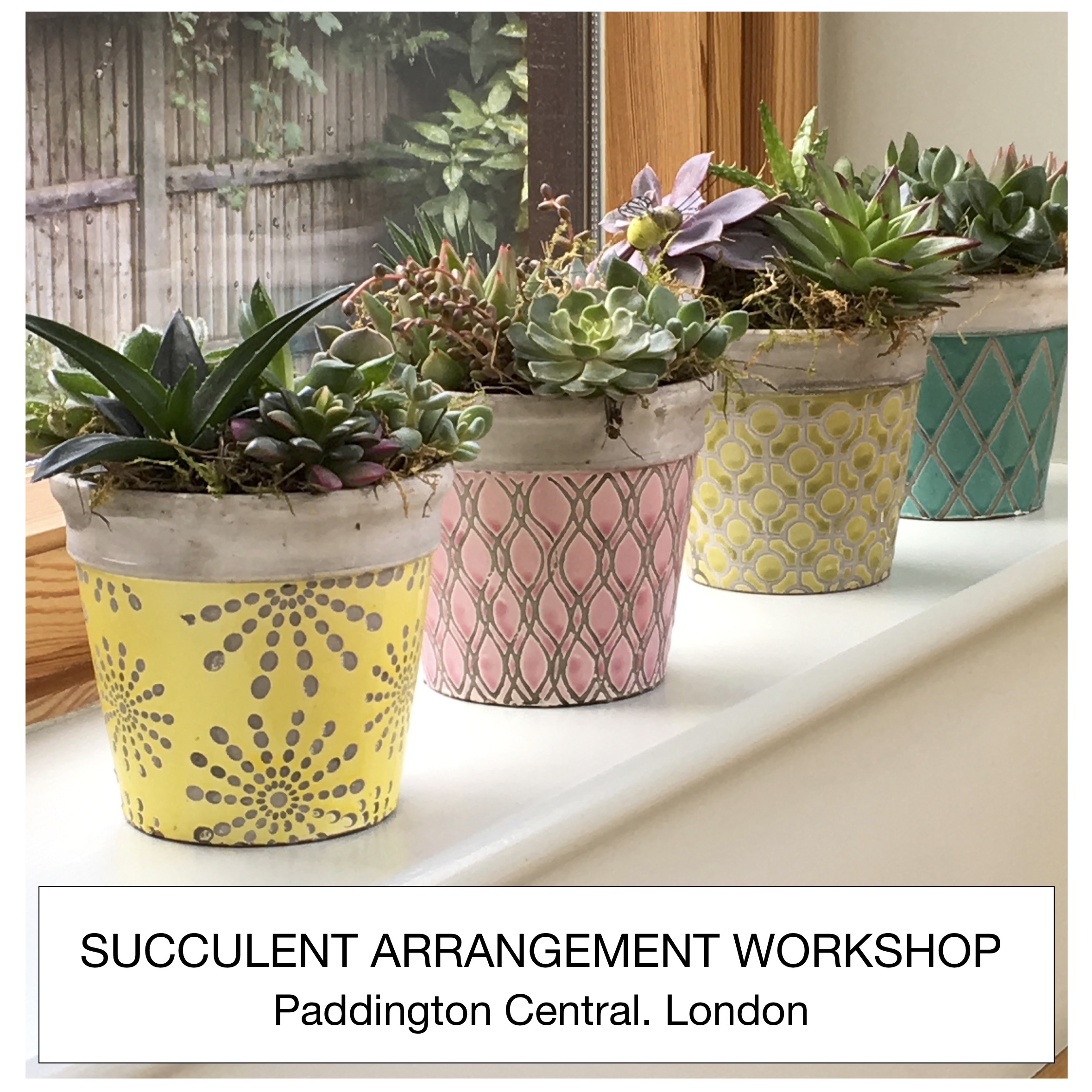 PAST WORKSHOP