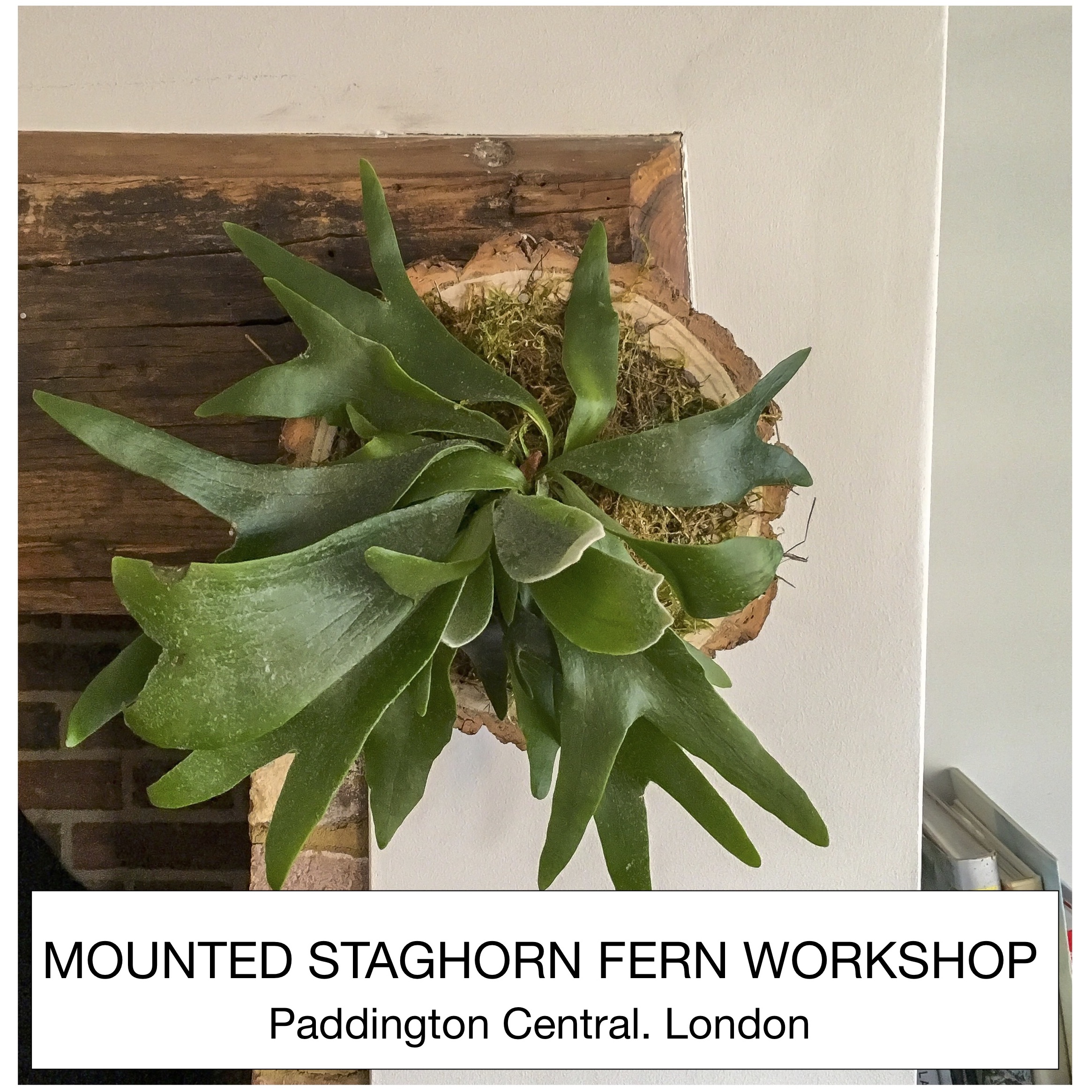 PAST WORKSHOP