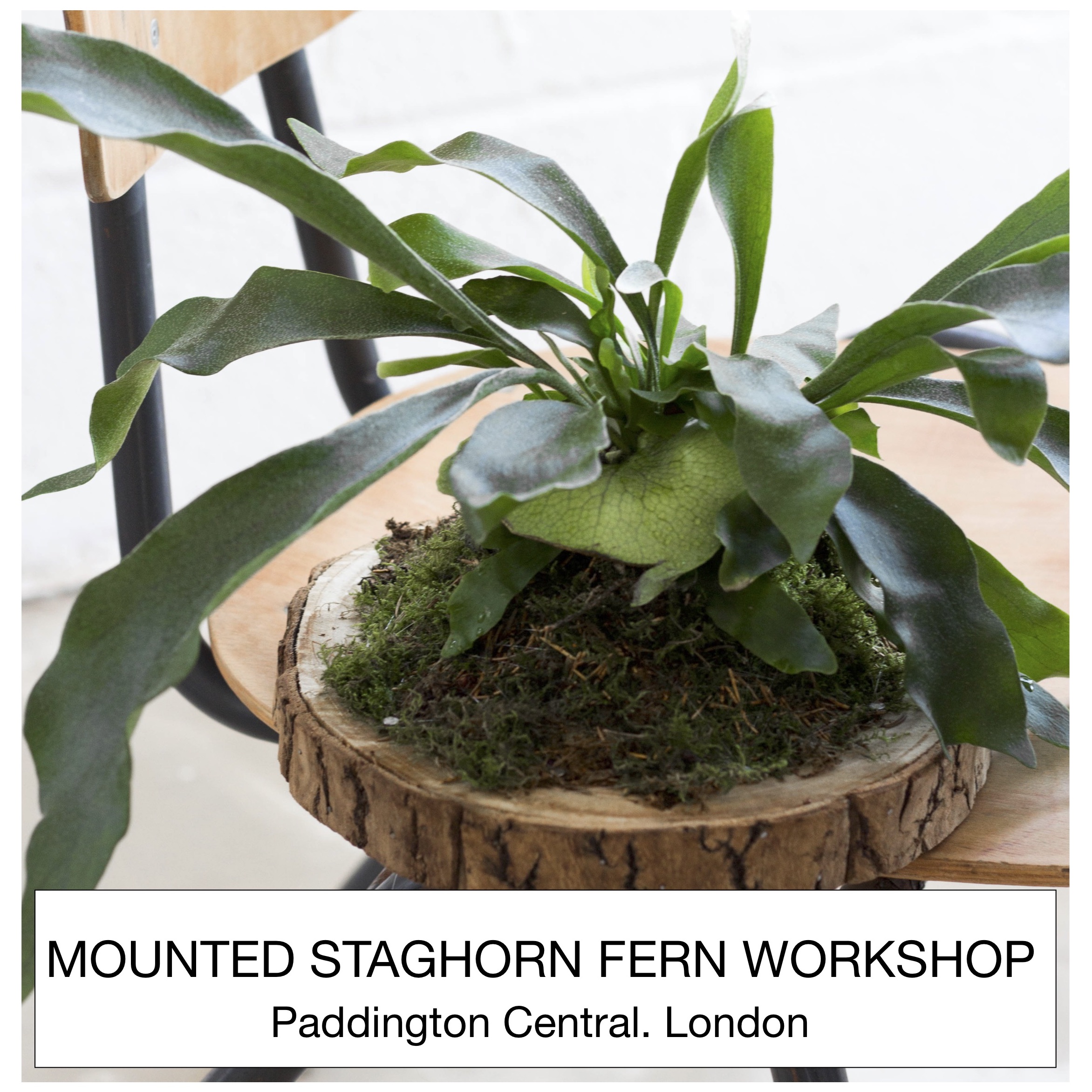 PAST WORKSHOP