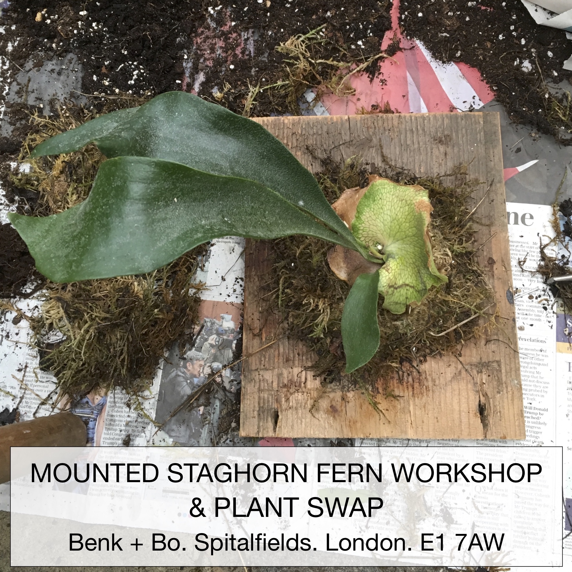 PAST WORKSHOP