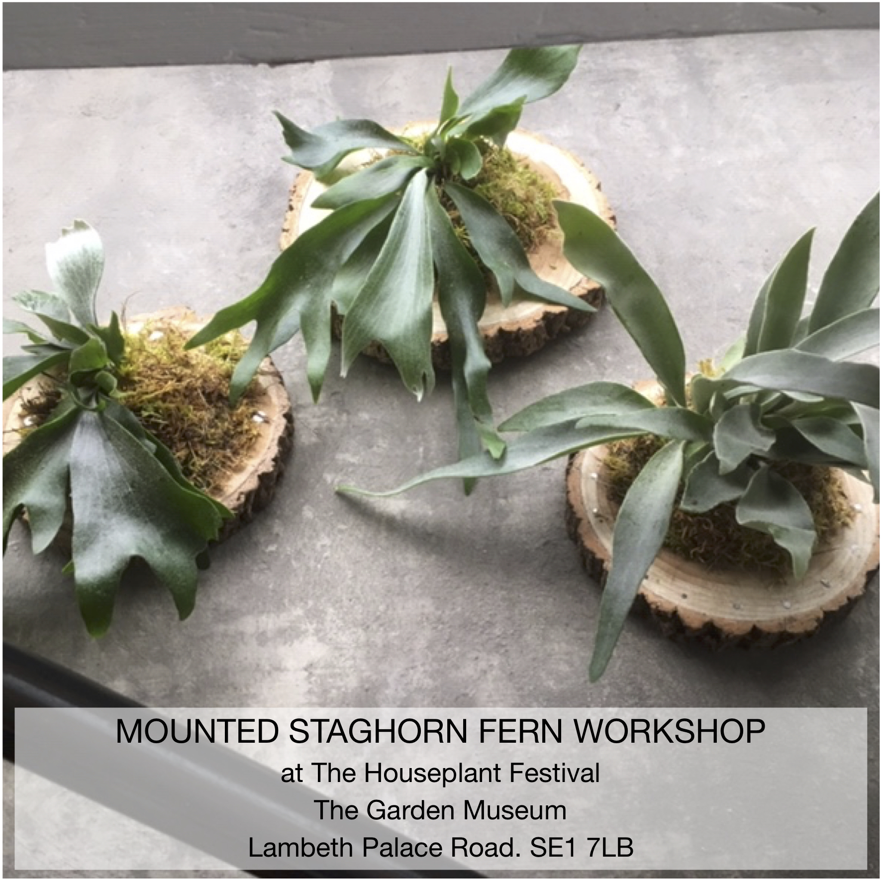 PAST WORKSHOP